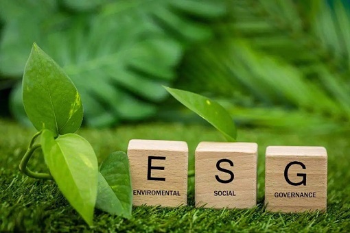 【ESG与高质量发展2】如何高质量披露企业ESG信息