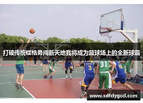 打破传统桎梏勇闯新天地我将成为篮球场上的全新球霸
